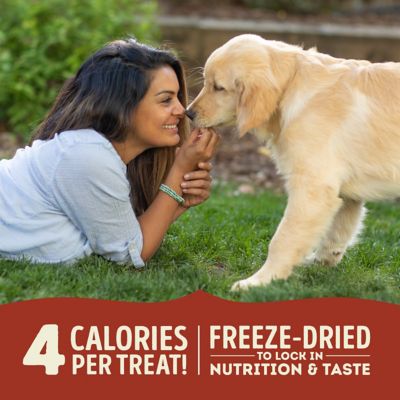 Image showing  Freeze-Dried Beef and Pumpkin Recipe Dog Treats, 3.25oz.