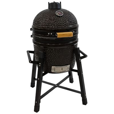 Sunnydaze Decor Kamado Ceramic Charcoal Egg Grill and Smoker with Stand, APX-4141