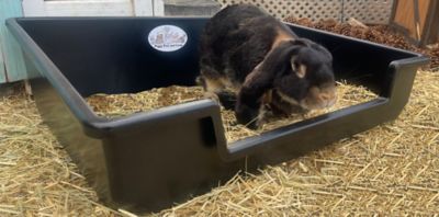 Image showing  Bunny Bundle Starter Toy Pack - Includes All the Essentials for Bunnies and Rabbits