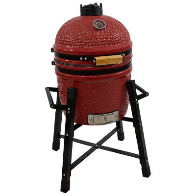 Sunnydaze Decor Kamado Ceramic Charcoal Egg Grill and Smoker with Stand, APX-4211