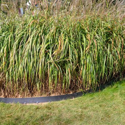 Image showing  42 in. Corten Steel Garden Border Fence Set, 5-Piece