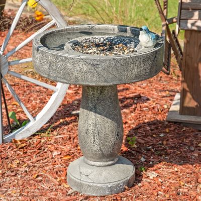 Image showing  Bird Bath with Birdseed Feeder Compartment 29 in.