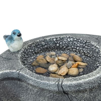 Image showing 5 th Sunnydaze Decor Bird Bath with Birdseed Feeder Compartment 29 in.