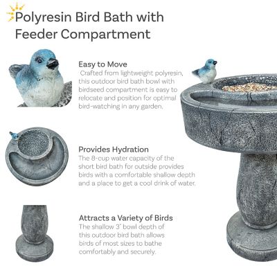 Image showing 6 th Sunnydaze Decor Bird Bath with Birdseed Feeder Compartment 29 in.