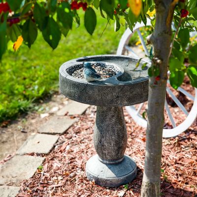 Image showing 8 th Sunnydaze Decor Bird Bath with Birdseed Feeder Compartment 29 in.