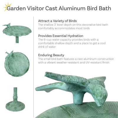 Image showing  Garden Visitor Metal Bird Bath Green Patina 15 in.