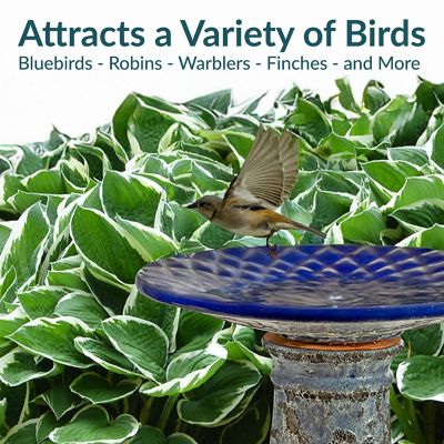 Image showing 8 th Sunnydaze Decor Rennes 22.5 in. Ceramic Bird Bath with Lava Finish Blue