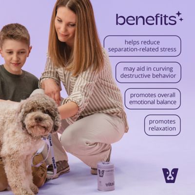 Image showing  Calming Dog Supplement, 90 ct.