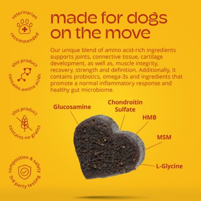 Image showing  Hip and Joint Dog Supplement, 90 ct.