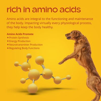 Image showing  Hip and Joint Dog Supplement, 90 ct.