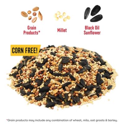 Image showing  All Birds Wild Bird Seed, 20 lb.