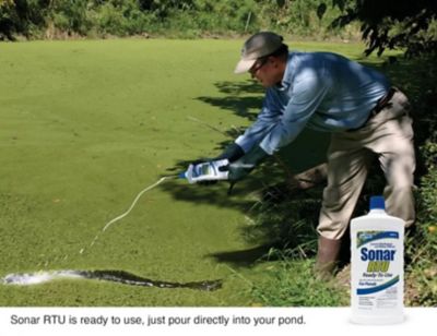 Image showing  Sonar RTU Aquatic Herbicide, 1 Pint