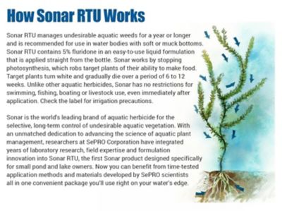 Image showing  Sonar RTU Aquatic Herbicide, 1 Pint