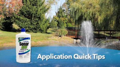 Image showing  Sonar RTU Aquatic Herbicide, 1 Pint