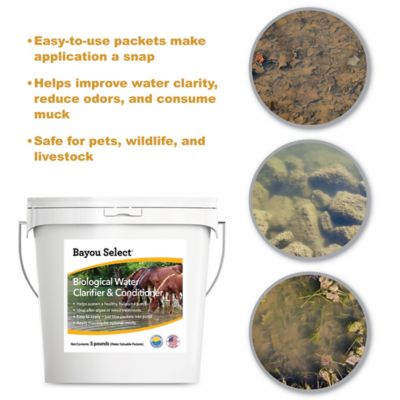 Image showing  Bayou Select - Biological Water Clarifier & Conditioner WSP
