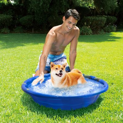 Image showing  Cool Ducky Quick Fun Pool