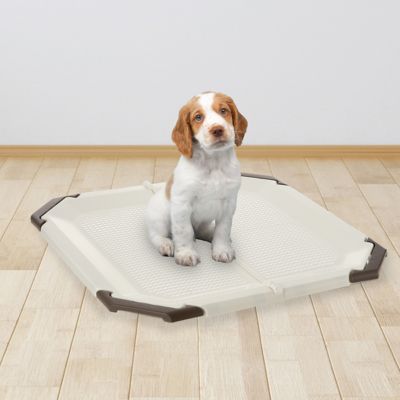 Richell Paw Trax Puppy Potty Pad Holder