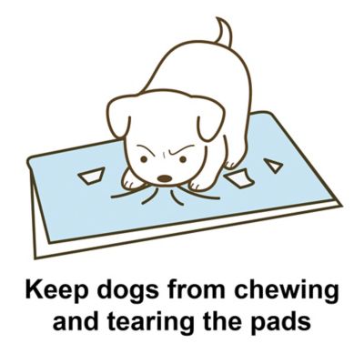 Image showing  Paw Trax Puppy Potty Pad Holder