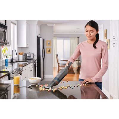 Image showing  Cordless 12V Dustbuster AdvancedClean Hand Vacuum (Titanium)