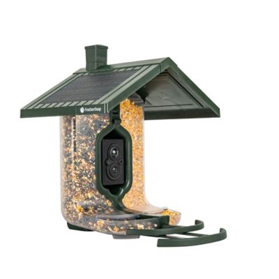 FeatherSnap Scout Bird Feeder Camera