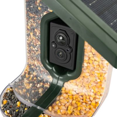 Image showing  Smart Bird Feeder