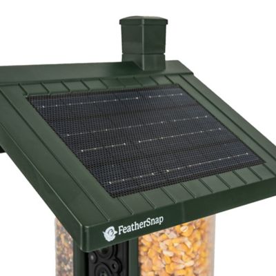 Image showing  Smart Bird Feeder