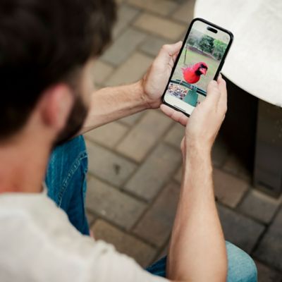 Image showing 5 th FeatherSnap Smart Bird Feeder