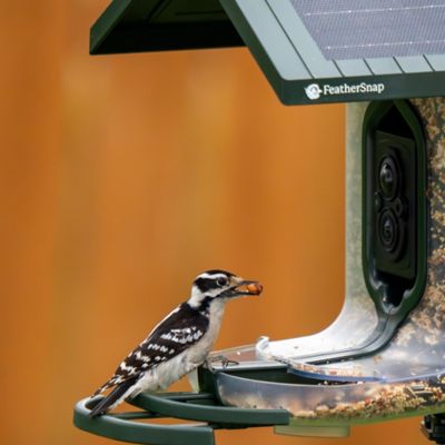 Image showing 6 th FeatherSnap Smart Bird Feeder