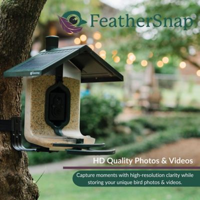 Image showing 7 th FeatherSnap Smart Bird Feeder