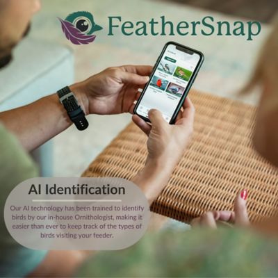 Image showing 8 th FeatherSnap Smart Bird Feeder