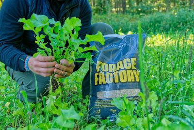 Image showing  Forage Factory Food Plot Mix