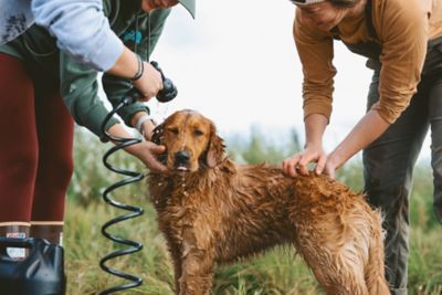 Image showing  2 Gallon Water Tank
