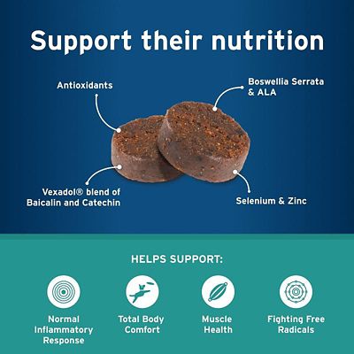 Image showing  Body Comfort with Alenza Soft Chews for Dogs