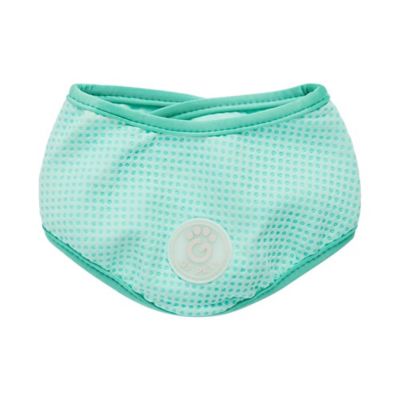 GF Pet Ice Dog Band - Aqua
