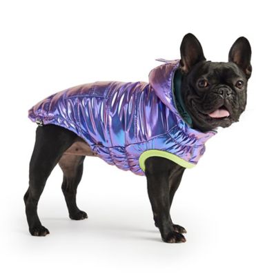 GF Pet Recycled Dog Parka - Iridescent