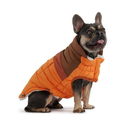 Product color Orange