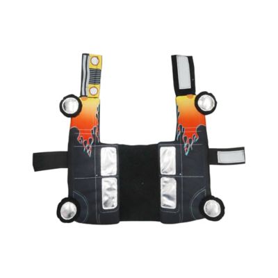 Image showing  Hot Rod Pet Costume