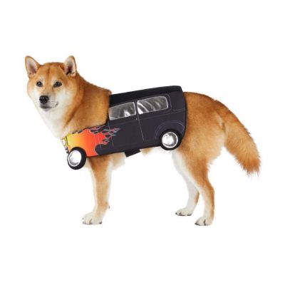 Image showing  Hot Rod Pet Costume