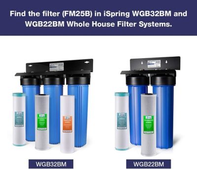 Image showing  Whole-House Iron- and Manganese-Reducing Replacement Water Filter