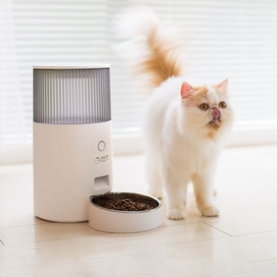 Image showing  Automatic Mini Smart Cat Feeder, WiFi APP Control, 2.5L, 10 Cup