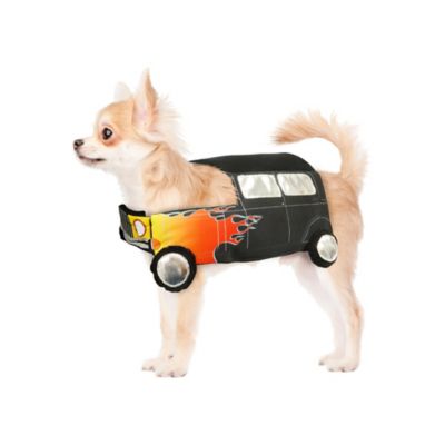 Best Furry Friends Hot Rod Pet Costume