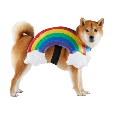 Image showing  Rainbow Pet Costume