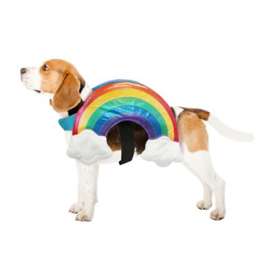 Image showing  Rainbow Pet Costume