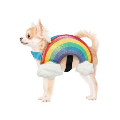 Best Furry Friends Rainbow Pet Costume