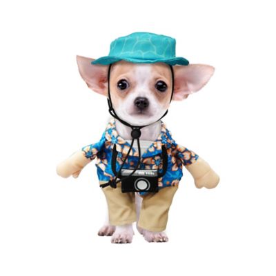 Best Furry Friends Summer Tourist Pet Costume