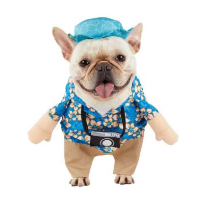 Image showing  Summer Tourist Pet Costume