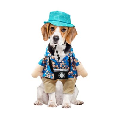 Image showing  Summer Tourist Pet Costume