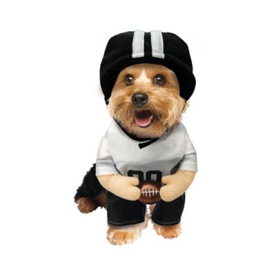 Image showing  Football Player Pet Costume