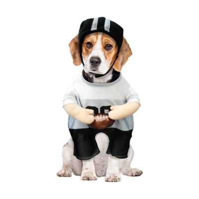 Image showing  Football Player Pet Costume