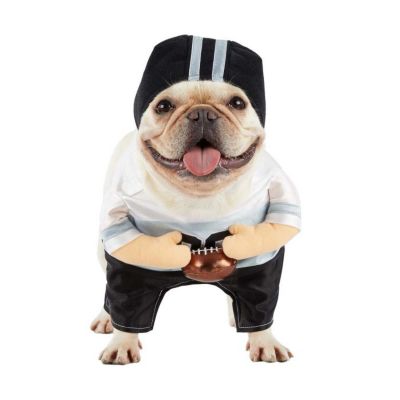 Image showing 6 th Best Furry Friends Football Player Pet Costume